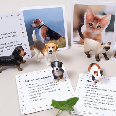 Julekalender for barn - Husdyr og skogsdyr - 24 dyrefigurer og faktakort - Image 3