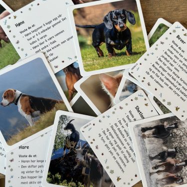 Julekalender for barn - Husdyr og skogsdyr - 24 dyrefigurer og faktakort - Image 5