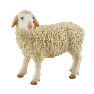 Sau figur