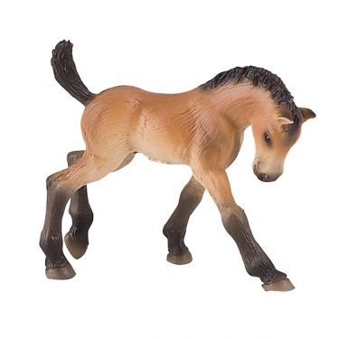 Trakehner hesteføll figur