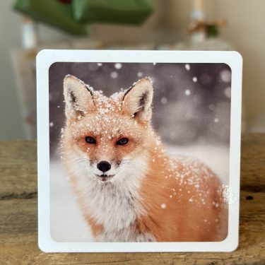 Julekalender for barn - Husdyr og skogsdyr - 24 dyrefigurer og faktakort - Image 8