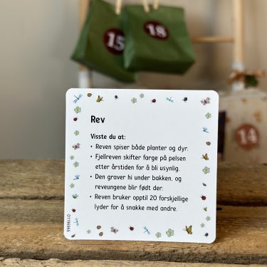 Julekalender for barn - Husdyr og skogsdyr - 24 dyrefigurer og faktakort - Image 9
