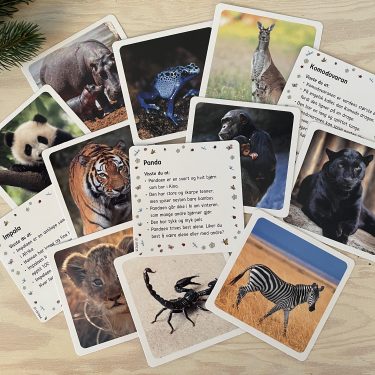 Julekalender for barn - Eksotiske dyr - 24 dyrefigurer og faktakort - Image 7
