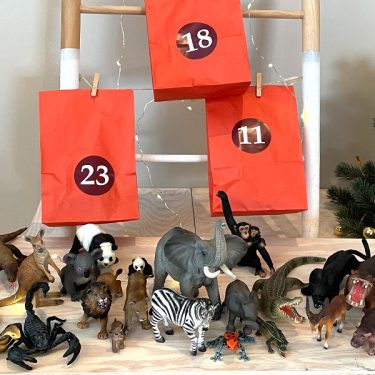 Julekalender for barn - Eksotiske dyr - 24 dyrefigurer og faktakort