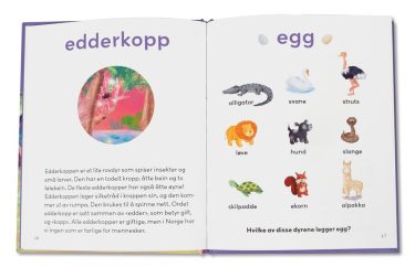 Den lille E-boka - Image 2