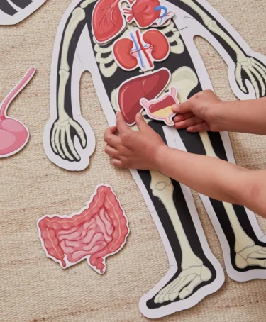 Puslespill Kroppen - Gutt - Image 2