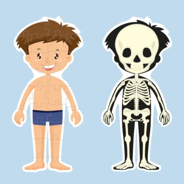 Puslespill Kroppen - Gutt - Image 5