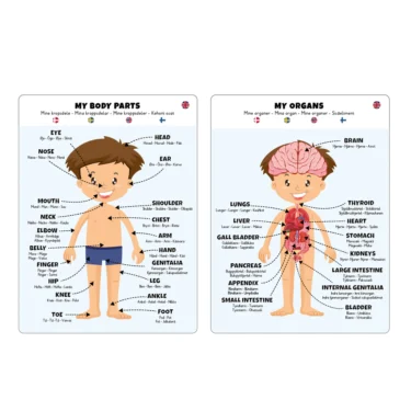 Puslespill Kroppen - Gutt - Image 4