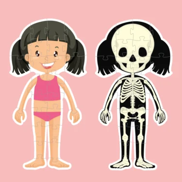 Puslespill Kroppen - Jente - Image 5