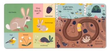 Vi går hjem, lille Kanin - Image 2