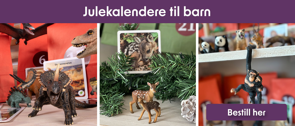 Adventskalender-2026-front